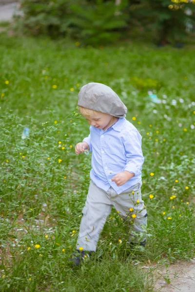 小男孩与金发在帽子和蓝色衬衣在夏天在一个领域与花 — 图库照片