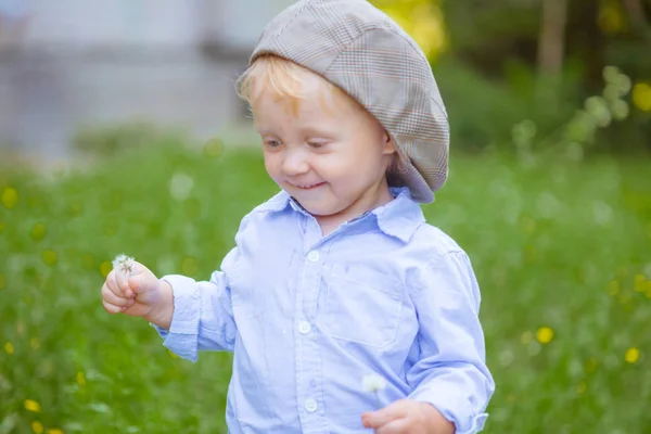 Little Boy Blond Hair Cap Blue Shirt Summer Field Flowers — Stock Photo, Image