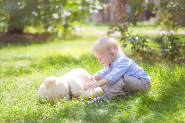 夏日绿草中与泰迪熊玩耍的金发小男孩 — 图库照片