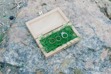 Yeşil yosun ve alyansile ahşap şık kutu