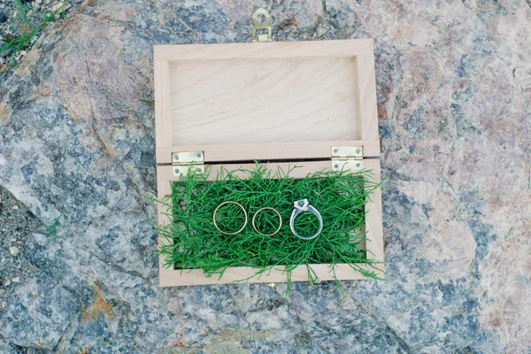 Dřevěná Stylová Krabice Zeleným Mechem Snubní Prsteny — Stock fotografie