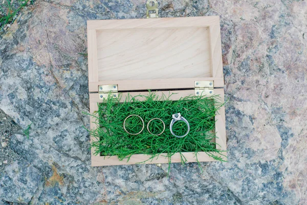 Caixa Elegante Madeira Com Musgo Verde Anéis Casamento — Fotografia de Stock