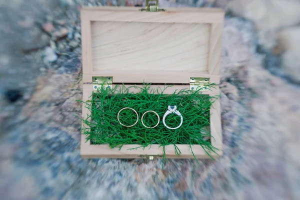 Boîte Élégante Bois Avec Mousse Verte Alliances — Photo