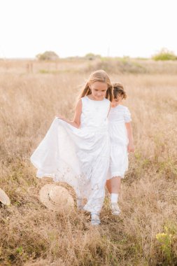 Bir hasır şapka ile beyaz elbiseler gün batımında bir yaz alanında sarı saçlı sevimli küçük kız kardeşler