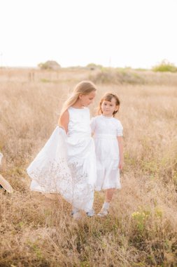 Bir hasır şapka ile beyaz elbiseler gün batımında bir yaz alanında sarı saçlı sevimli küçük kız kardeşler