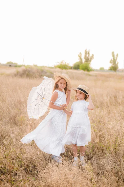 Schattige Kleine Meisjes Zusters Met Blond Haar Een Zomer Veld — Stockfoto