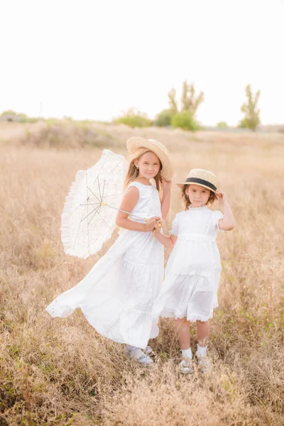 Schattige Kleine Meisjes Zusters Met Blond Haar Een Zomer Veld — Stockfoto