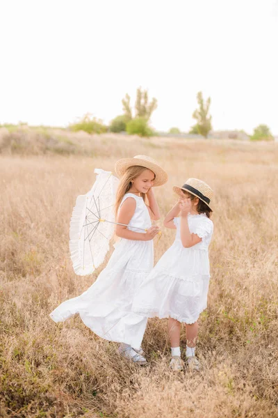 Schattige Kleine Meisjes Zusters Met Blond Haar Een Zomer Veld — Stockfoto