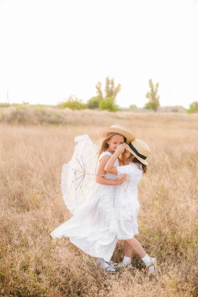 Schattige Kleine Meisjes Zusters Met Blond Haar Een Zomer Veld — Stockfoto