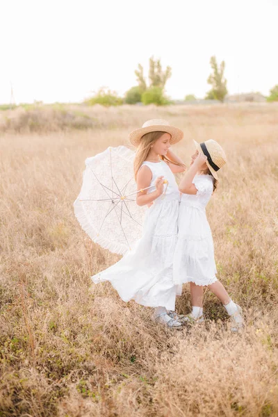 Linda Niñas Hermanas Con Pelo Rubio Campo Verano Atardecer Vestidos — Foto de Stock