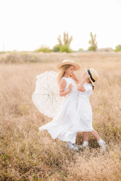 Schattige Kleine Meisjes Zusters Met Blond Haar Een Zomer Veld — Stockfoto