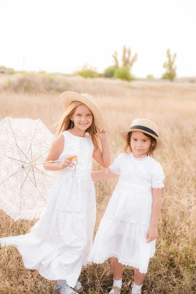 Schattige Kleine Meisjes Zusters Met Blond Haar Een Zomer Veld — Stockfoto