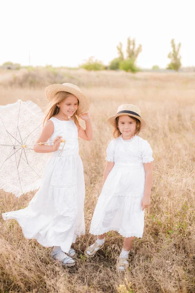 Schattige Kleine Meisjes Zusters Met Blond Haar Een Zomer Veld — Stockfoto