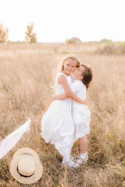 Schattige Kleine Meisjes Zusters Met Blond Haar Een Zomer Veld — Stockfoto