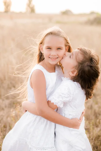 Linda Niñas Hermanas Con Pelo Rubio Campo Verano Atardecer Vestidos — Foto de Stock