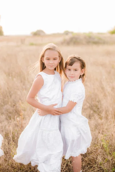 Schattige Kleine Meisjes Zusters Met Blond Haar Een Zomer Veld — Stockfoto