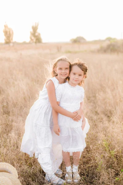 Niedlichen Kleinen Mädchen Schwestern Mit Blonden Haaren Einem Sommerfeld Bei — Stockfoto