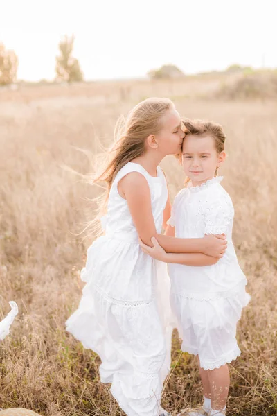 Linda Niñas Hermanas Con Pelo Rubio Campo Verano Atardecer Vestidos — Foto de Stock