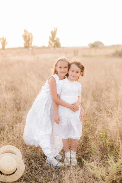 Linda Niñas Hermanas Con Pelo Rubio Campo Verano Atardecer Vestidos — Foto de Stock