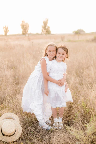 Niedlichen Kleinen Mädchen Schwestern Mit Blonden Haaren Einem Sommerfeld Bei — Stockfoto