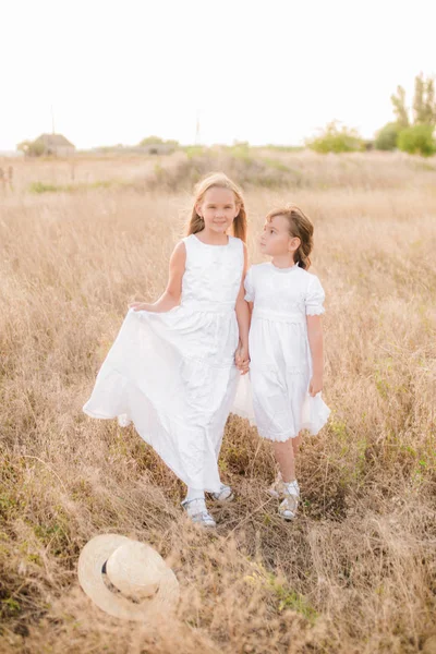 Χαριτωμένο Μικρά Κορίτσια Αδελφές Ξανθά Μαλλιά Ένα Καλοκαιρινό Χωράφι Στο — Φωτογραφία Αρχείου