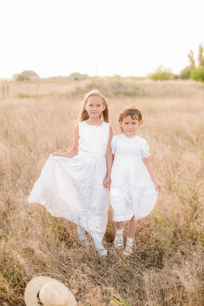 Schattige Kleine Meisjes Zusters Met Blond Haar Een Zomer Veld — Stockfoto