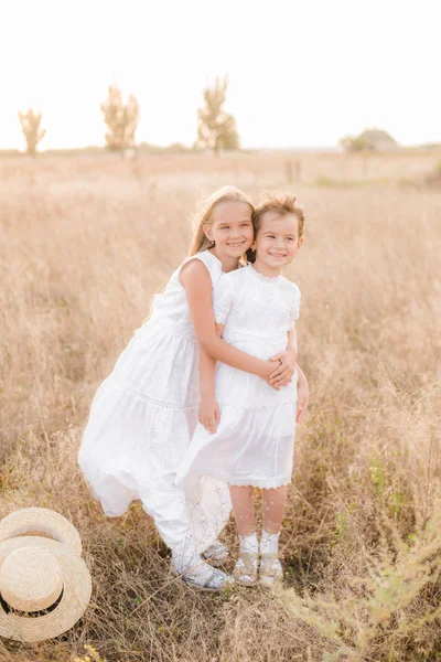 Schattige Kleine Meisjes Zusters Met Blond Haar Een Zomer Veld — Stockfoto