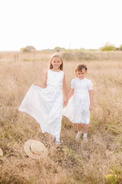 Schattige Kleine Meisjes Zusters Met Blond Haar Een Zomer Veld — Stockfoto