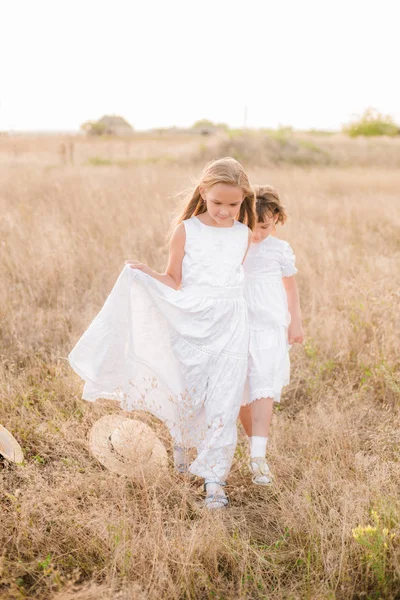 Schattige Kleine Meisjes Zusters Met Blond Haar Een Zomer Veld — Stockfoto