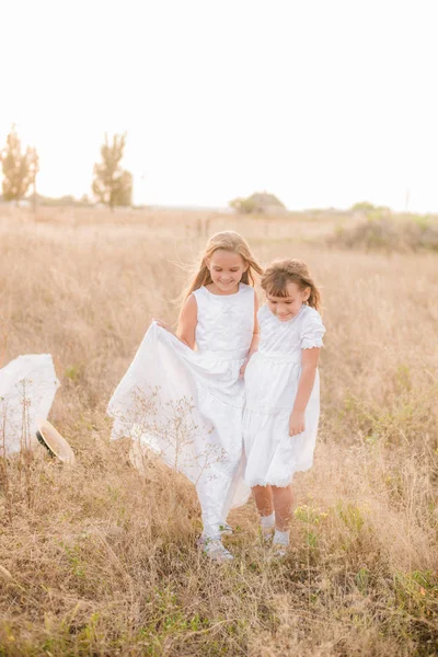 Χαριτωμένο Μικρά Κορίτσια Αδελφές Ξανθά Μαλλιά Ένα Καλοκαιρινό Χωράφι Στο — Φωτογραφία Αρχείου
