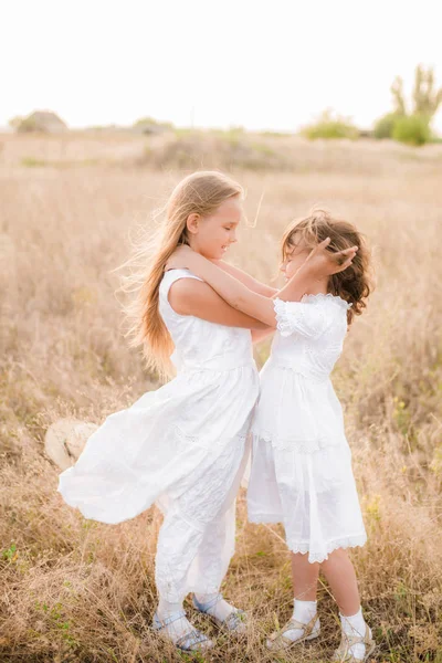 Linda Niñas Hermanas Con Pelo Rubio Campo Verano Atardecer Vestidos — Foto de Stock