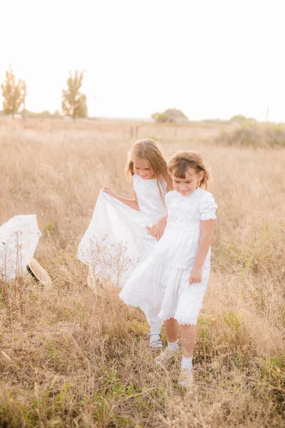 Schattige Kleine Meisjes Zusters Met Blond Haar Een Zomer Veld — Stockfoto