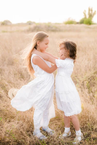 Schattige Kleine Meisjes Zusters Met Blond Haar Een Zomer Veld — Stockfoto