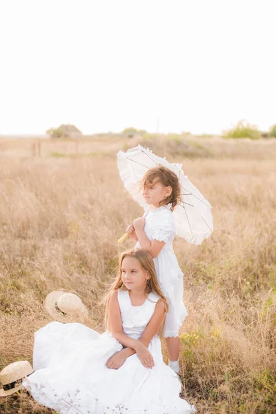 Schattige Kleine Meisjes Zusters Met Blond Haar Een Zomer Veld — Stockfoto