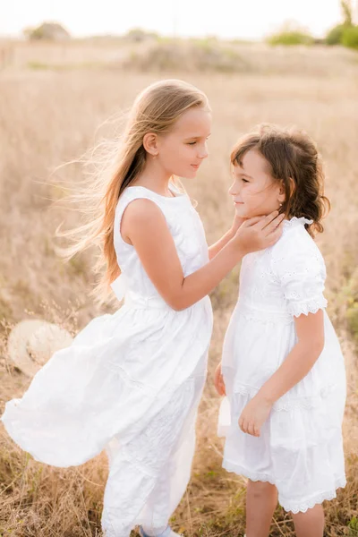 麦わら帽子をかぶった白いドレスで日没時に夏のフィールドでブロンドの髪を持つかわいい女の子の姉妹 — ストック写真