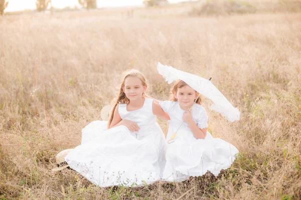Schattige Kleine Meisjes Zusters Met Blond Haar Een Zomer Veld — Stockfoto