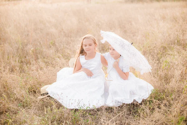 Schattige Kleine Meisjes Zusters Met Blond Haar Een Zomer Veld — Stockfoto