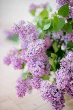 hafif bir arka plan üzerinde beyaz leylak ile cam vazo