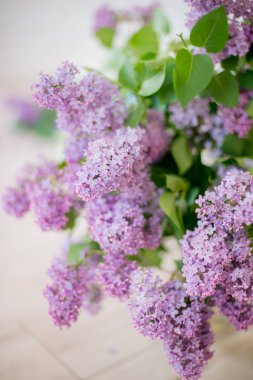 hafif bir arka plan üzerinde beyaz leylak ile cam vazo