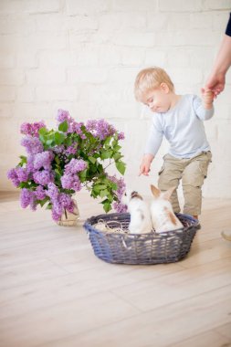 Hafif bir arka plan üzerinde bir hasır sepette leylak çiçekleri ile küçük bunnies ile sarı saçlı küçük sevimli çocuk