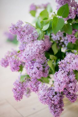 hafif bir arka plan üzerinde beyaz leylak ile cam vazo