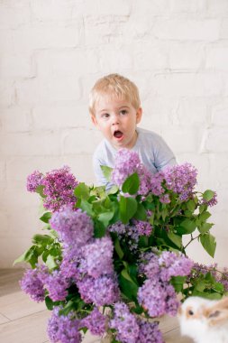 Hafif bir arka plan üzerinde bir hasır sepette leylak çiçekleri ile küçük bunnies ile sarı saçlı küçük sevimli çocuk