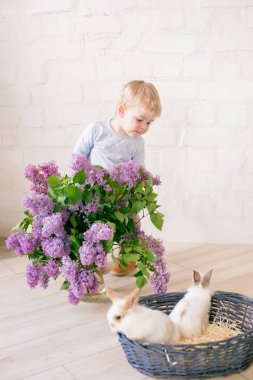 Hafif bir arka plan üzerinde bir hasır sepette leylak çiçekleri ile küçük bunnies ile sarı saçlı küçük sevimli çocuk
