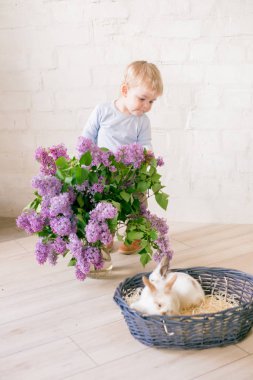 Hafif bir arka plan üzerinde bir hasır sepette leylak çiçekleri ile küçük bunnies ile sarı saçlı küçük sevimli çocuk