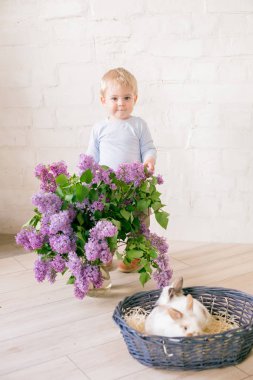 Hafif bir arka plan üzerinde bir hasır sepette leylak çiçekleri ile küçük bunnies ile sarı saçlı küçük sevimli çocuk