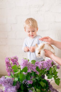 Hafif bir arka plan üzerinde bir hasır sepette leylak çiçekleri ile küçük bunnies ile sarı saçlı küçük sevimli çocuk