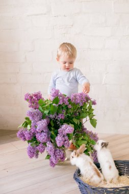Hafif bir arka plan üzerinde bir hasır sepette leylak çiçekleri ile küçük bunnies ile sarı saçlı küçük sevimli çocuk