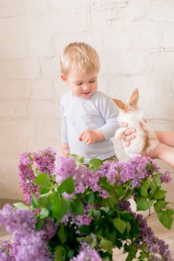 Hafif bir arka plan üzerinde bir hasır sepette leylak çiçekleri ile küçük bunnies ile sarı saçlı küçük sevimli çocuk