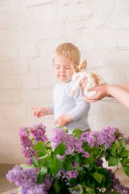 Hafif bir arka plan üzerinde bir hasır sepette leylak çiçekleri ile küçük bunnies ile sarı saçlı küçük sevimli çocuk