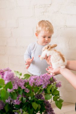 Hafif bir arka plan üzerinde bir hasır sepette leylak çiçekleri ile küçük bunnies ile sarı saçlı küçük sevimli çocuk